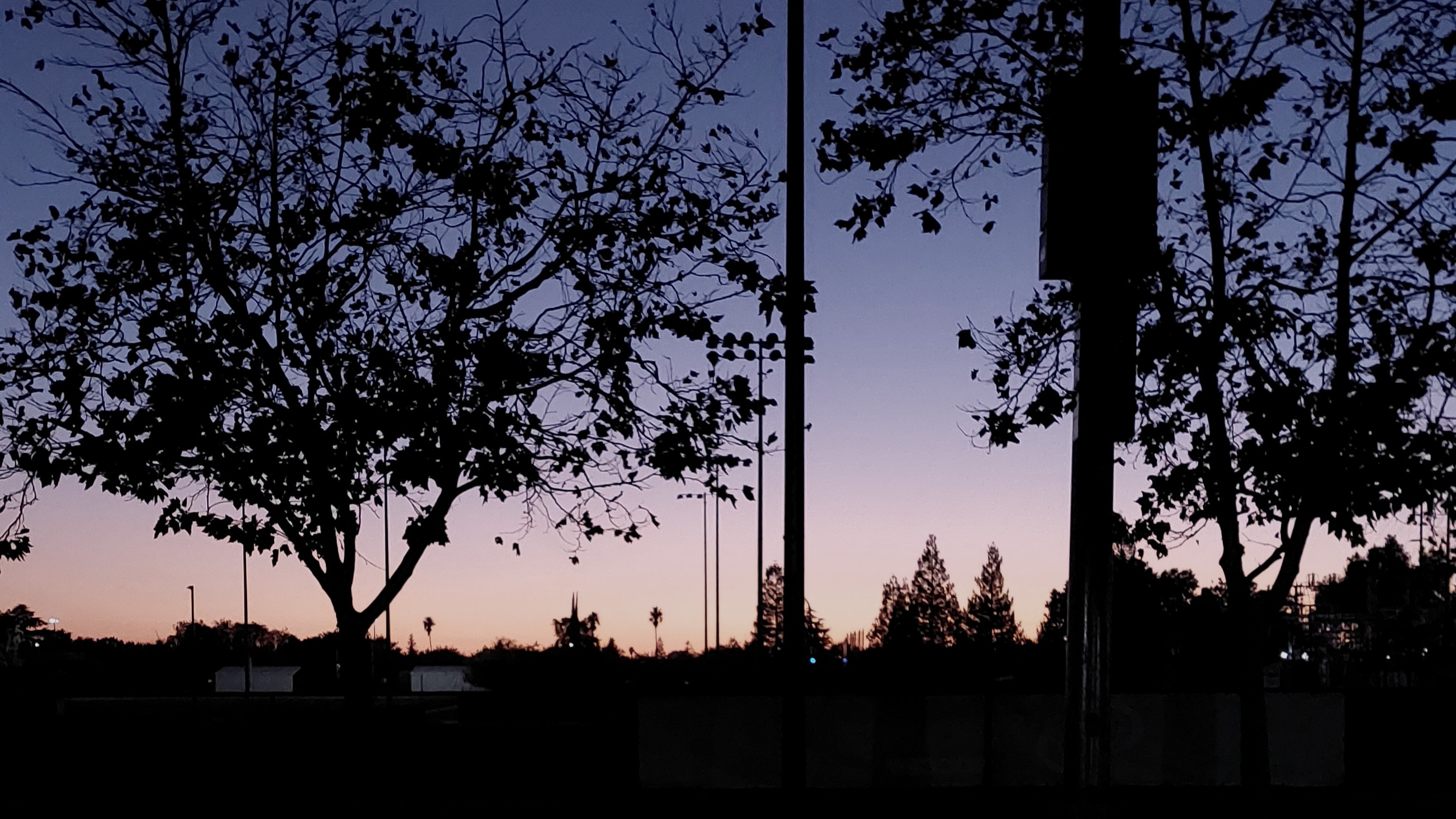 Banner photograph of a sunset between two trees