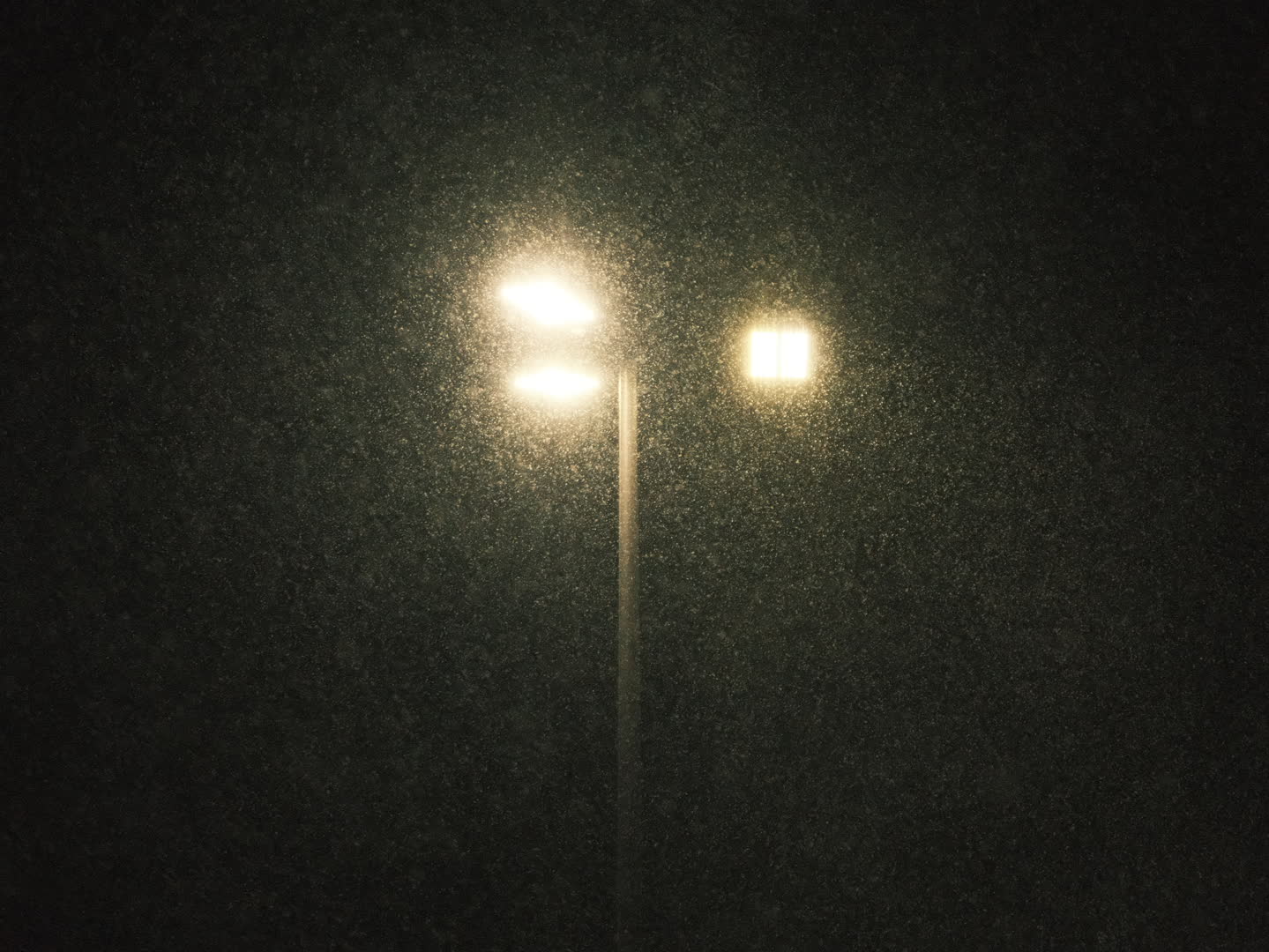Light