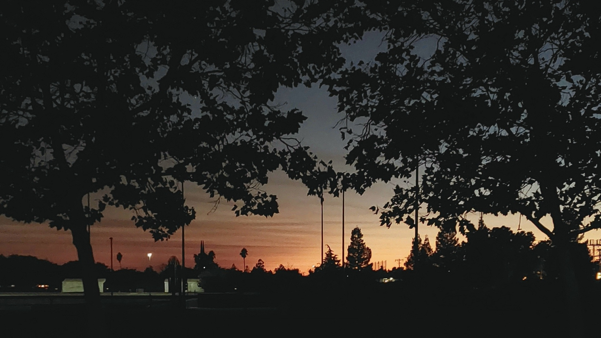 Banner photograph of a sunset between two trees